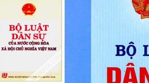 Komisi Perundang-undangan memberikan pendapat terhadap RUU Perdata (amandemen) - ảnh 1