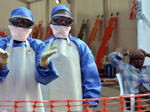 Perang anti Ebola di Liberia ada indikasi perkembangan yang positif - ảnh 1