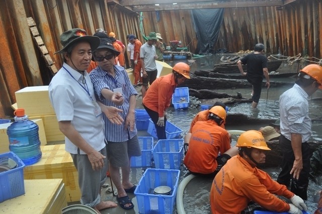 Provinsi Quang Ngai potensial tentang pusaka budaya di bawah permukaan air - ảnh 1