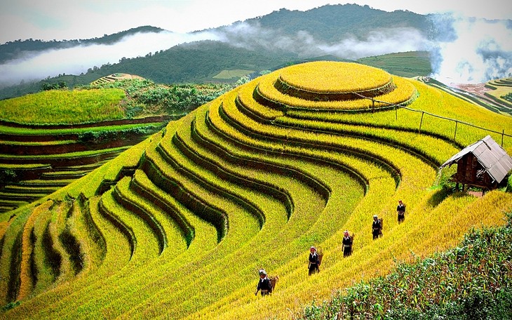 Pameran kontes foto Pusaka Vietnam 2014 - ảnh 1