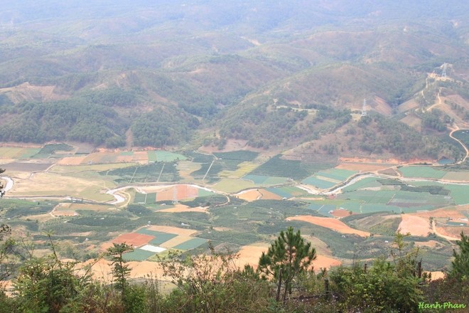 Musim semi tiba di sawah-sawah teknologi tinggi di kaki dataran tinggi Lang Biang - ảnh 1