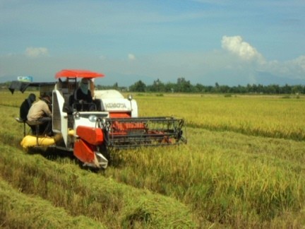 Gerakan pembangunan pedesaan baru di provinsi Quang Nam bersemarak - ảnh 2