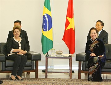 Wakil Presiden Nguyen Thi Doan melakukan pertemuan dengan Presiden Brasil, Dilma Rousseff - ảnh 1