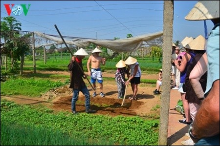 Sehari menjadi petani di desa Tra Que - ảnh 3