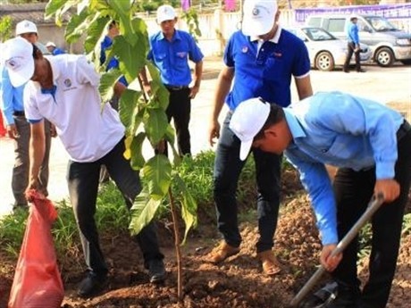 Liga Pemuda kota Hanoi mencanangkan pesta penghijauan Hari Raya Tet - ảnh 1