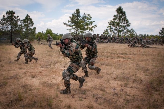 India dan Indonesia membuat rencana melakukan latihan perang bersama - ảnh 1