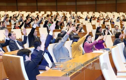 Kantor MN dan Kantor Pemerintah mengambil pendapat pemilih terhadap para calon anggota MN angkatan ke-14 - ảnh 1