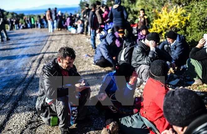 Republik Czech memberikan bantuan keuangan kepada negara-negara penerima migran di garis depan - ảnh 1