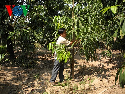 Dinh Cong Tam-Teladan pandai berproduksi dan penuh rasa kemanusiaan - ảnh 1