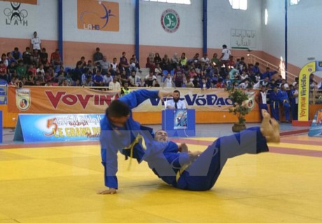 Kejuaraan Vovinam Eropa ke-4 di Swiss - ảnh 1