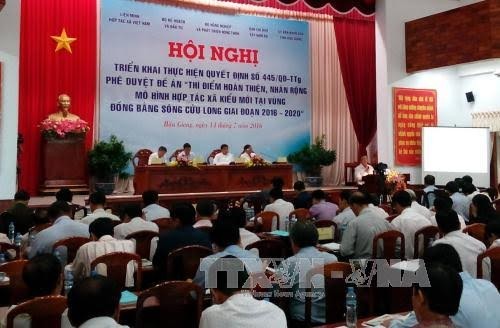 Membangun koperasi tipe baru merupakan terobosan dalam restrukturisasi pertanian - ảnh 1