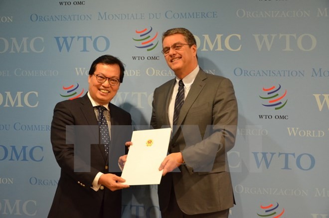 Direktur Jenderal WTO menilai  tinggi prestasi sosial-ekonomi Vietnam - ảnh 1