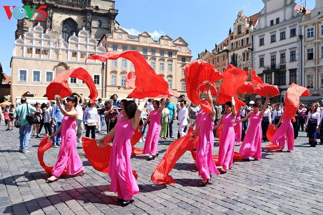 Vietnam menghadiri Festival Kebudayaan Etnis-Etnis Minoritas seluruh Czech tahun 2017 - ảnh 1