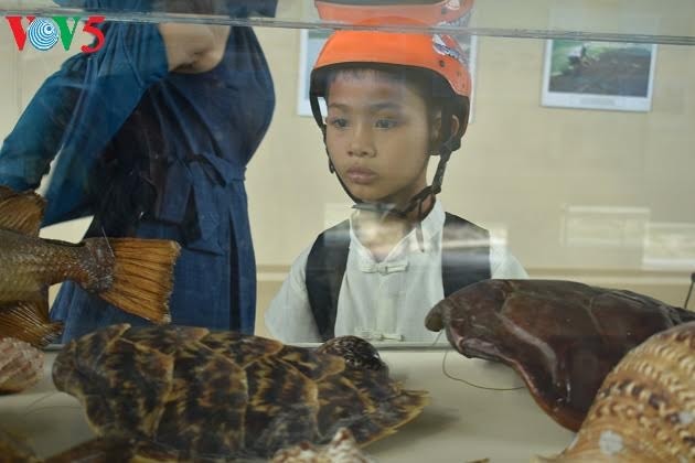 Pameran memuliakan nilai-nilai budaya laut dan pulau Vietnam - ảnh 1