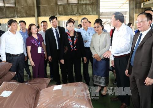 Ketua MN Nguyen Thi Kim Ngan dan Ketua Parlemen Laos, Pany Yothotou membakar hio di Situs peninggalan sejarah Resimen 52 Tay Tien - ảnh 1