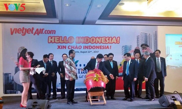 Hubungan kemitraan strategis Vietnam-Indonesia 2017: Tinjauan masa satu tahun - ảnh 5