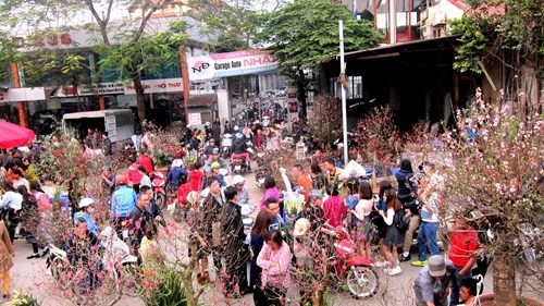 Suasana menyambut Hari Raya Tet 2018 di seluruh Vietnam - ảnh 1