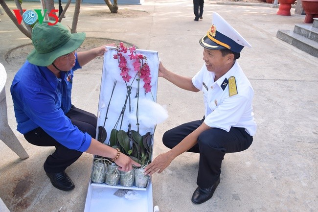 Phan Thanh Sang-Pemuda yang tipikal dalam melakukan pembibitan benih hijau untuk laut dan pulau kampung halaman - ảnh 1