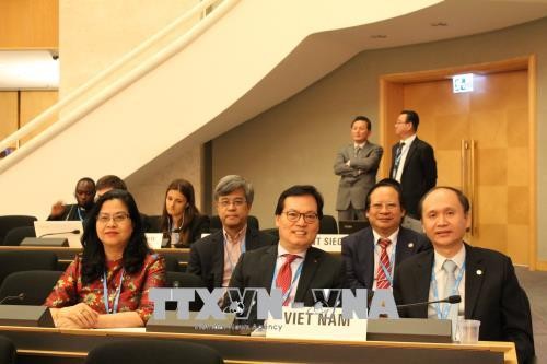 WHO: Viet Nam berjalan di depan dalam strategi menghapuskan penyakit TBC global - ảnh 1