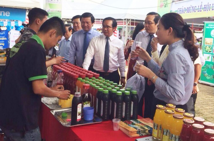 Pembukaan Festival Perberasan dan Pameran Pertanian yang menerapkan teknologi tinggi di Daerah Dataran Randah Sungai Mekong kali pertama - ảnh 1