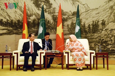 Viet Nam dan negara-negara Afrika selalu saling mendukung dan membantu - ảnh 1