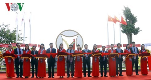 Rangkaian peristiwa menyambut peringatan ulang tahun ke-45 penggalangan hubungan diplomatik Viet Nam-Jepang - ảnh 1