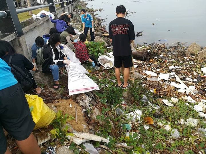 Kelub “Saving Green” di Provinsi Kien Giang menyampaikan ilham hijau - ảnh 1