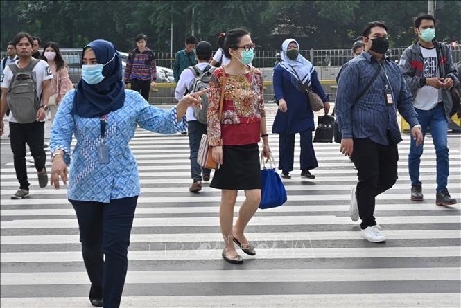 Wabah Covid-19: Indonesia membatalkan penyambutan Hari Raya Idul Fitri - ảnh 1