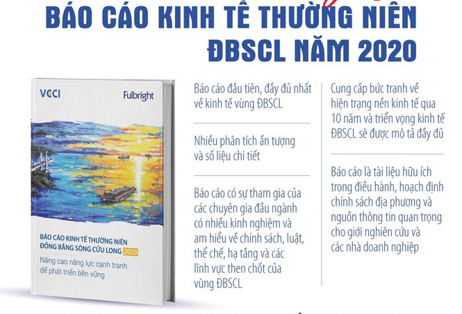 Mengumumkan Laporan Ekonomi Tahunan Daerah Dataran Rendah Sungai Mekong 2020 - ảnh 1