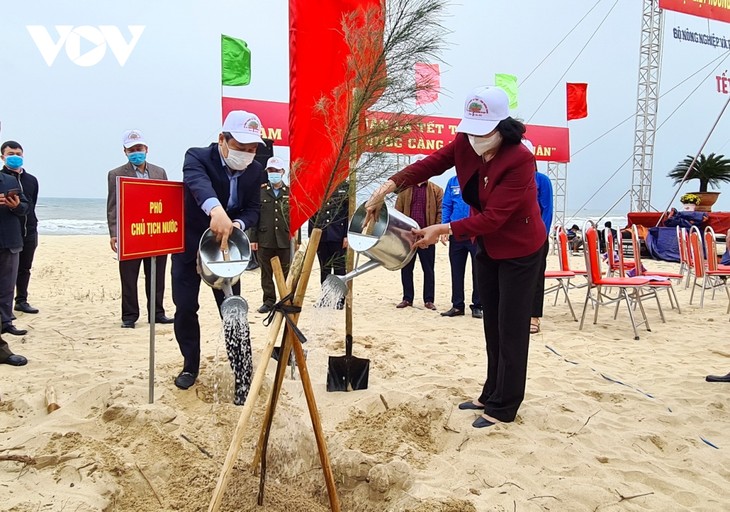 Wakil Presiden Dang Thi Ngoc Thinh Buka Festival Penghijauan di Provinsi Quang Binh - ảnh 1