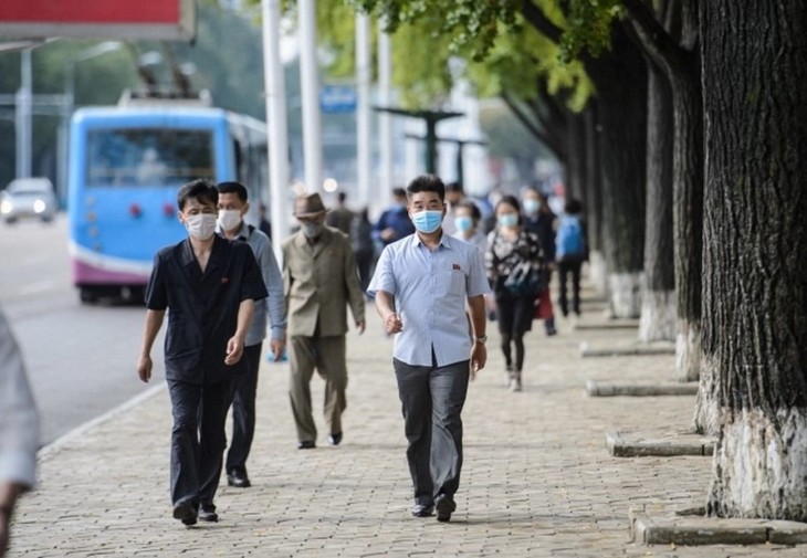 WHO Mulai Angkut Materi Medis untuk Pencegahan dan Penanggulangan Wabah Covid-19 ke RDRK - ảnh 1