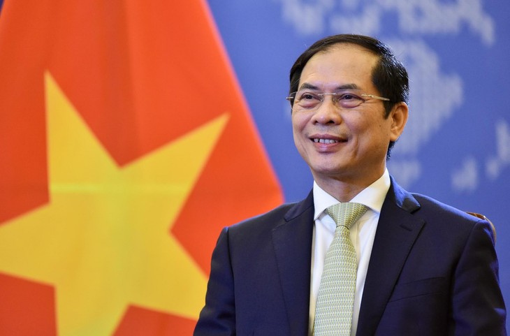 Diplomatik Viet Nam Demi Pembelaan dan Pembangunan Tanah Air di Bawah Sinaran Resolusi Kongres Nasional XIII PKV - ảnh 1