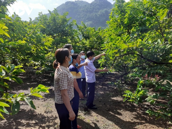 Para Petani di Daerah Pegunungan - ảnh 1