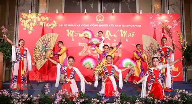 Perantau Vietnam di Singapura Bersenang-senang Menyambut Hari Raya Tet Tradisional - ảnh 1