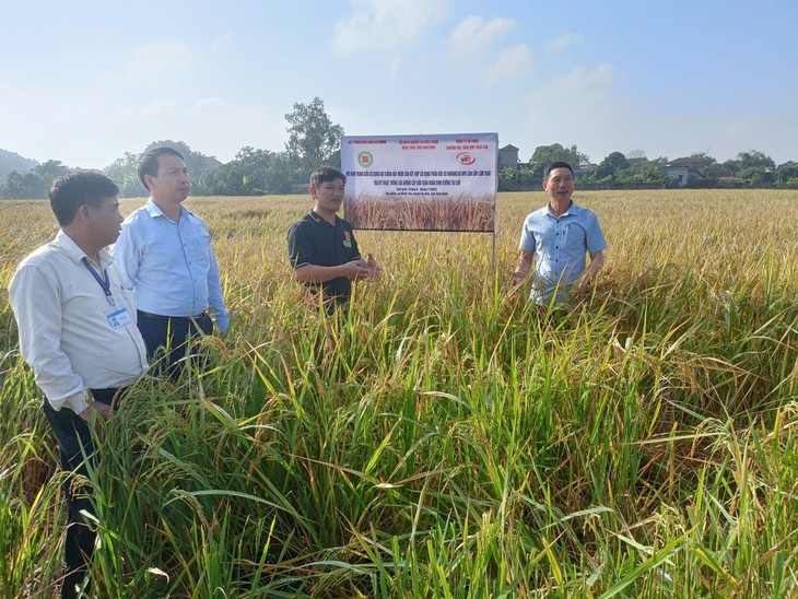 Truong “Beras” dan Benih yang Berkecambah Sebelumnya Mendampingi Kaum Tani Beradaptasi dengan Perubahaan Iklim - ảnh 2