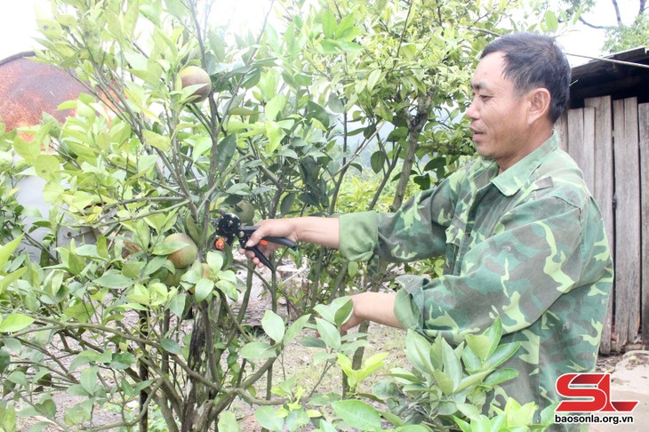 Perubahan di Daerah Muong Lum  - ảnh 2