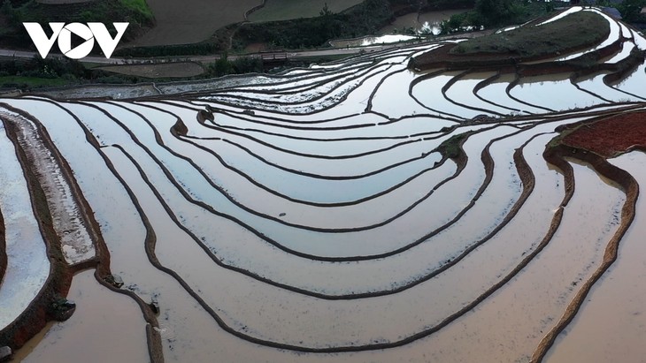 Mu Cang Chai di Musim Menuangkan Air - Lukisan Tinta Cair di Daerah Pegunungan Barat Laut - ảnh 1