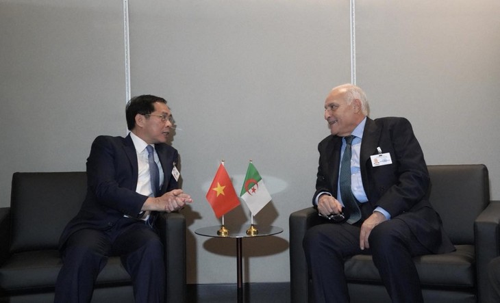 Deputi PM, Menlu Vietnam, Bui Thanh Son Lakukan Kontak Bilateral di Sela MU PBB - ảnh 2