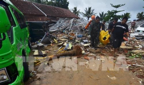 ອິນໂດເນເຊຍ ແກ້ໄຂຜົນຮ້າຍຢ້ອນຫຼັງຈາກເຫດຄື້ນຟອງຍັກຊຸນາມິຢ່າງຮີບດ່ວນ - ảnh 1