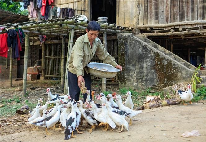 ຊາວເມືອງ ເມື່ອງອາງ, ດ້ຽນບຽນພົ້ນທຸກຍ້ອນໄດ້ກູ້ຢືມທຶນຈາກ ທະນາຄານນະໂຍບາຍ - ảnh 1