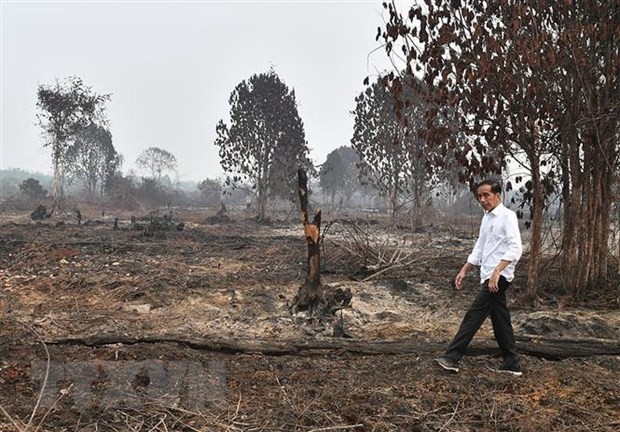 ທ່ານ J. Widodo ປະ​ທາ​ນາ​ທິ​ບໍ​ດີ​ ອິນ​ໂດ​ເນ​ເຊຍ ສ້າງ​ຂີດ​ໝາຍ ໃນ​ການດຳ​ລົງຕຳ​ແໜ່ງ​ປະ​ທາ​ນາ​ທິ​ບໍ​ດີ​ ອາ​ຍຸ​ການ ທີ 2 ​ຄົບ​ຮອບ 100 ວັນດ້ວຍ​ອິດ​ທິ​ພົນ​​ຊື່​ສຽງ​ສູງ - ảnh 1