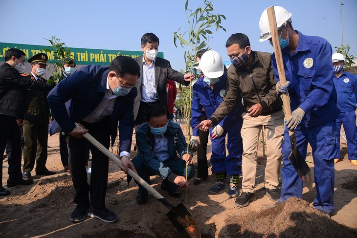 ສ້າງ​ປະ​ຕູ​ຖານ​ຂ​ໍ້​ມູນ​ແຜນ​ທີ່​ຕົ້ນ​ໄມ້ ຫວຽດ​ນາມ ເພື່ອ​ຄຸ້ມ​ຄອງ, ​ບົວ​ລະ​ບັດ​ຕົ້ນ​ໄມ້​ຂຽວ - ảnh 1