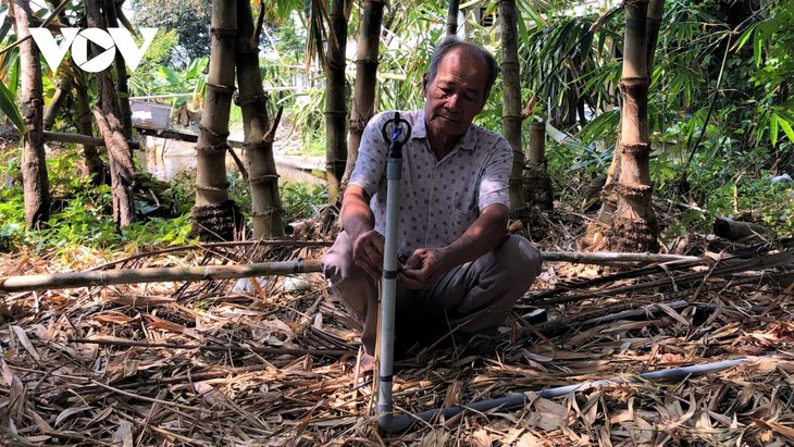 ຜູ້ປູກໜໍ່ໄມ້ຢູ່ດິນເຄັມຢ່າງສຳເລັດຜົນ. - ảnh 1