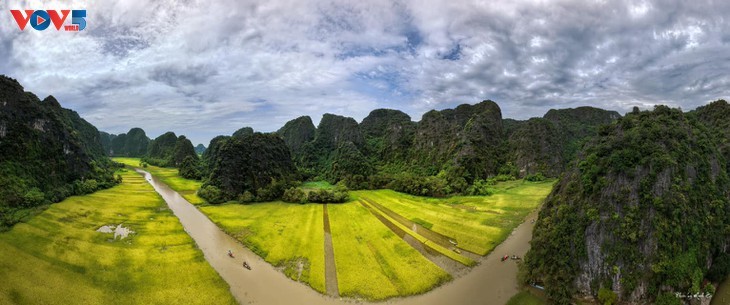 ຄວາມງາມຢູ່ຕາມກົກໃນຍາມເຂົ້າສຸກເຫຼືອງ - ảnh 2