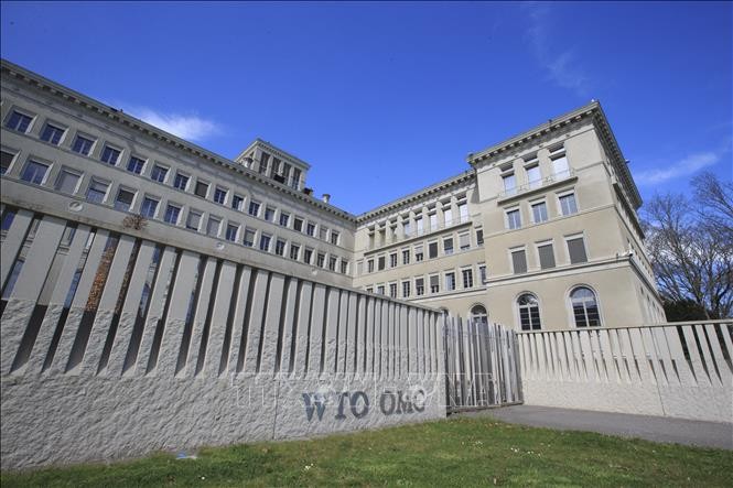 WTO ຫຼຸດ​ລະ​ດັບ​ຄາດ​ຄະ​ເນ​​ການ​ເຕີບ​ໂຕ​ດ້ານ​ການ​ຄ້າ​ໃນ​ທົ່ວ​ໂລກ​ປີ 2023 ລົງ - ảnh 1