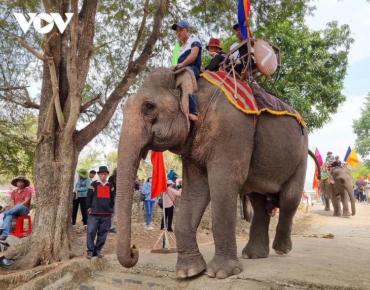 ພິທີໄຫວ້ບູຊາໃຫ້ສຸຂະພາບຂອງຊ້າງທີ່ເປັນເອກະລັກຢູ່ ດັກລັກ - ảnh 1