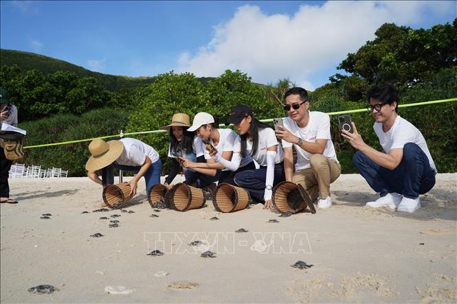 ບັ້ນ “Save The Ocean” ສ້າງກອງ​ທຶນ​ອະ​ນຸ​ລັກ​ຮັກ​ສາ​ສະ​ພາບ​ແວດ​ລ້ອມ​ດຳ​ລົງ​ຊີ​ວິດ​ຂອງ ເຕົ່າ​ທະ​ເລ - ảnh 1