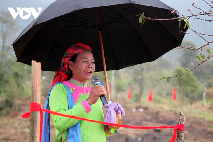 ພິທີຮັບໃພ້ ຂອງຊາວເຜົ່າໄຢ ຢູ່ລາຍເຈົາ - ảnh 11