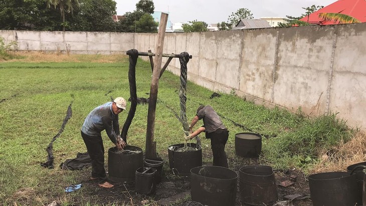 ໝູ່ບ້ານຜະລິດແພໄຫມ ເຕີນເຈົາ - ອາຊີບເກົ່າແກ່ຍັງຄົງຕົວຕະຫລອດໄປ - ảnh 1