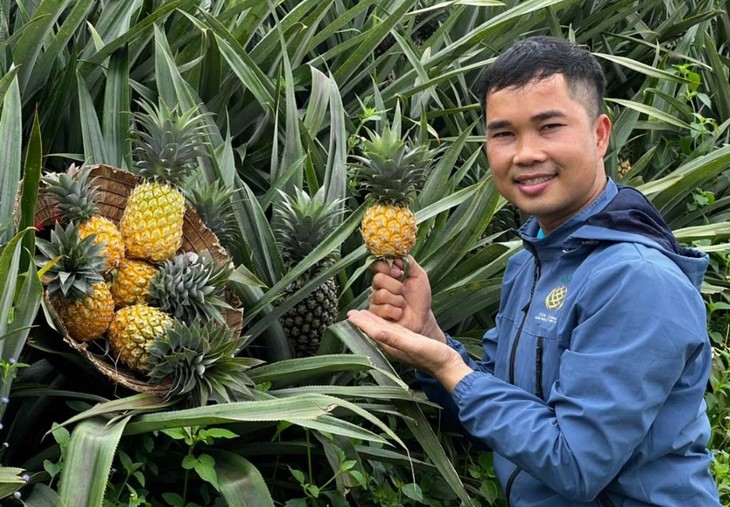 ເງະ​ອານ ຫັນ​ໃບ​ໄມ້​ກາຍ​ເປັນ​ວັດ​ຖຸ​ດິບ​ສົ່ງ​ອອກ​ - ảnh 2